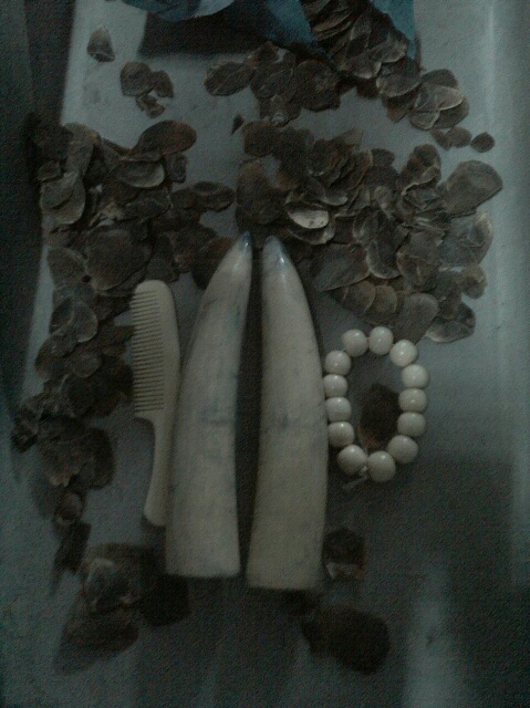 TWO CHINESE ARRESTED FOR TRAFFICKING ILLEGAL WILDLIFE TROPHIES