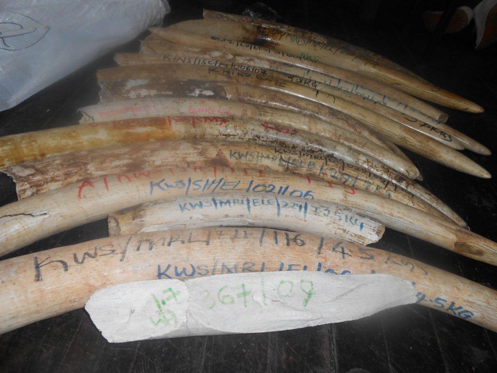 RESULTS OF KENYA'S NATIONAL INVENTORY OF ELEPHANT IVORY AND RHINO HORN STOCKPILES