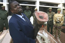 KWS IMPOUNDS 1 MILLION DOLLAR TROPHY