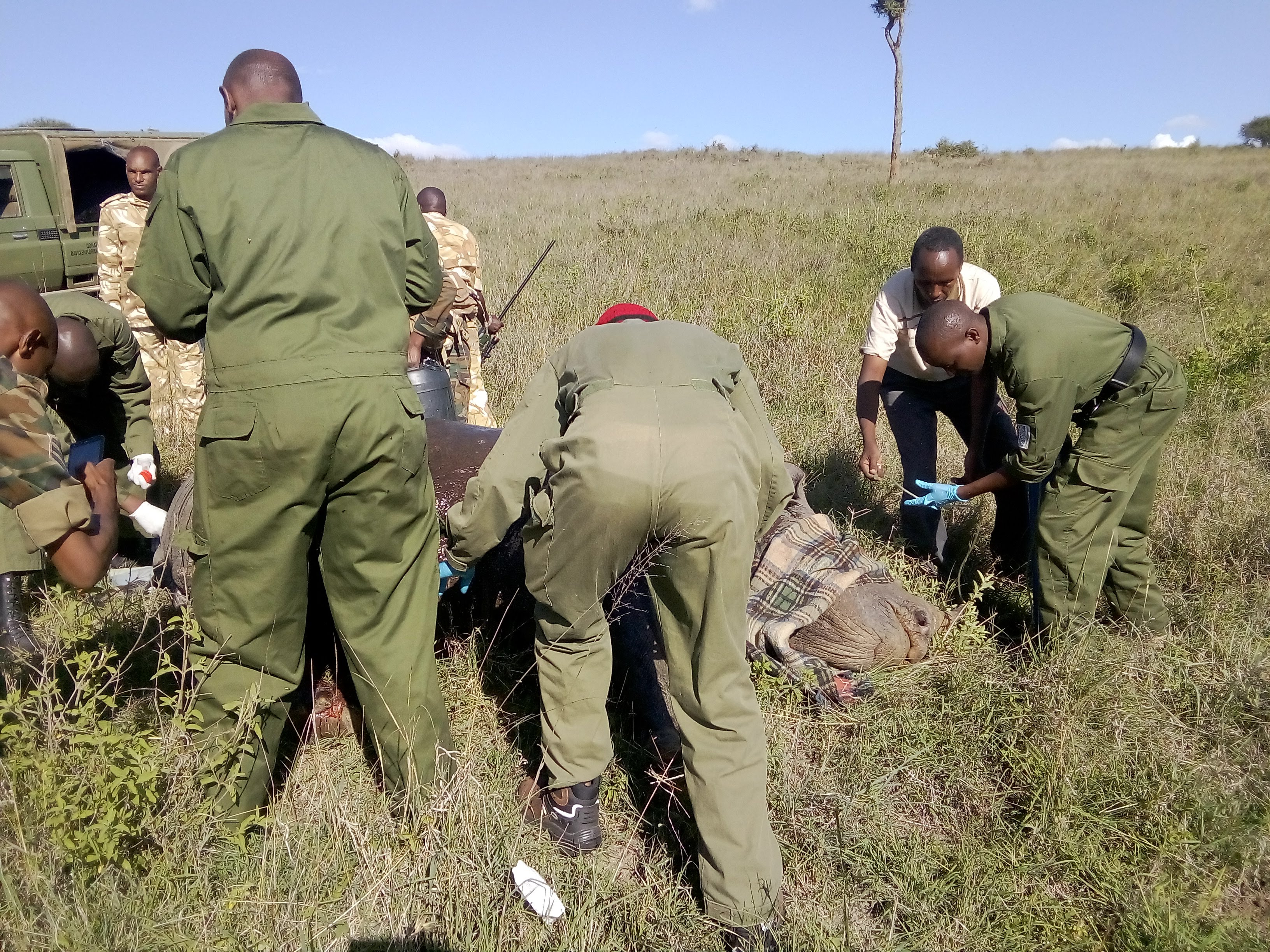 Injecting the patient to counteract the tranquilizer
