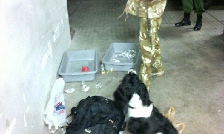 THREE CHINESE TO BE ARRAIGNED IN NAIROBI COURT OVER IVORY