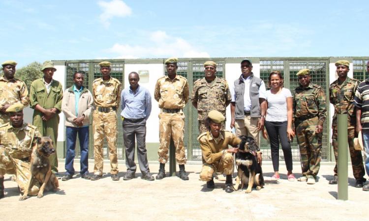 AFRICAN WILDLIFE FOUNDATON TO REVITALIZE KWS CANINE UNIT