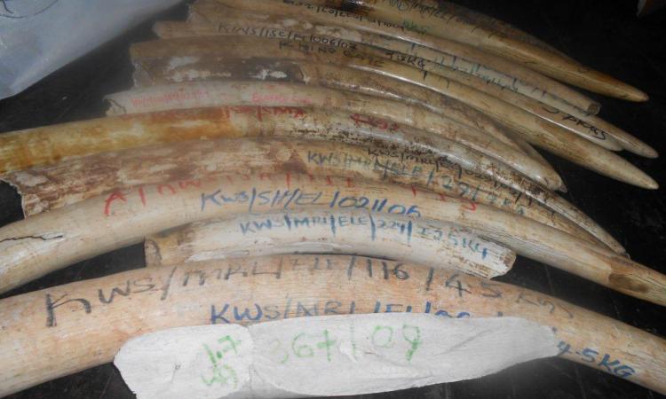 TWO FINED SH. 63 MILLION FOR ILLEGAL POSSESSION OF IVORY