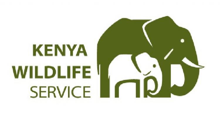 MARA SERENGETI AERIAL ELEPHANT CENSUS LAUNCHED