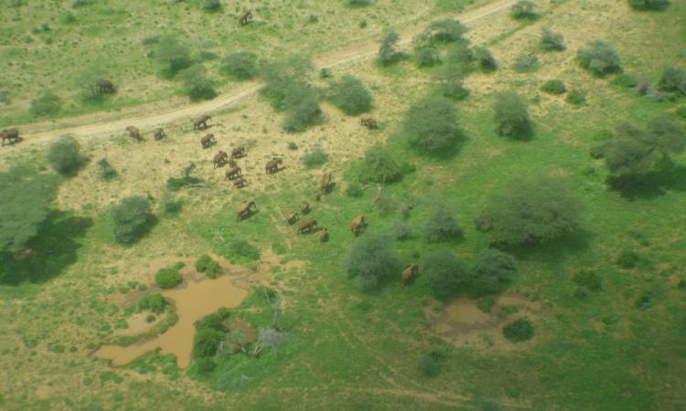 GREAT NORTHERN KENYA WILDLIFE COUNT 2017