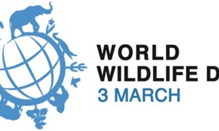 WORLD WILDLIFE DAY 2017 CELEBRATIONS