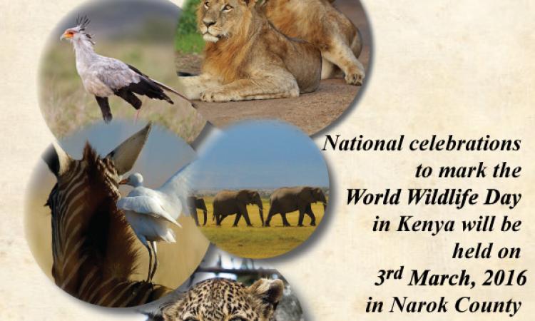WORLD WILDLIFE DAY