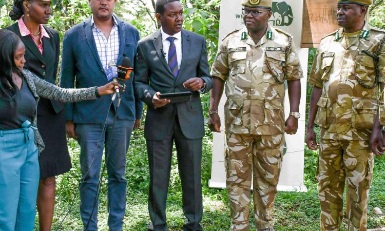 Jamhuri Day free entry